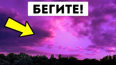 Фиолетовое небо | Фиолетовое небо, Пейзажи, Мрачные места