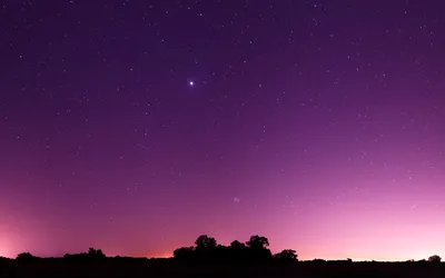 Милое фиолетовое небо над головой» — создано в Шедевруме