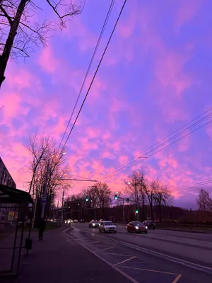 OMORIKUN – Фиолетовое небо (Purple sky) Lyrics | Genius Lyrics