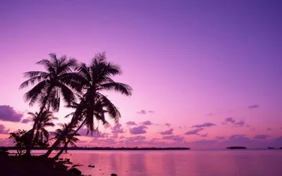 Яркий закат величественное фиолетовое небо облака скрывающие заходящее  солнце и абстрактный градиентный фон природы, драматическое небо, желтое  небо, восход солнца небо фон картинки и Фото для бесплатной загрузки
