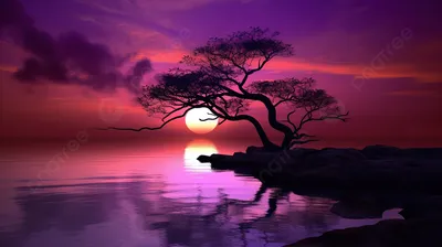красивый фиолетовый закат с деревом на заднем плане, фиолетовый закат  картинки фон картинки и Фото для бесплатной загрузки