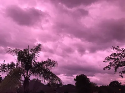 Фиолетовый закат: небо во Флориде после урагана стало невероятного цвета