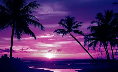 Фиолетовый закат | Пикабу