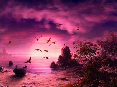 фиолетовый вечер с красивым розовым цветом, фиолетовый закат картинки фон  картинки и Фото для бесплатной загрузки