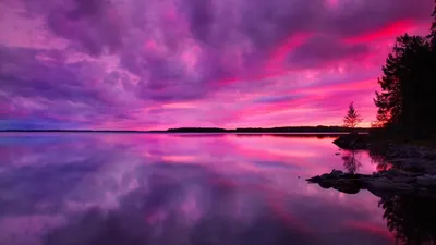 Фиолетовый закат'~•°`Purple sunset | Летний пейзаж, Пейзажи, Закаты