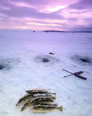 Оранжево розовый и фиолетовый закат на голубой воде побережья Фон Обои  Изображение для бесплатной загрузки - Pngtree