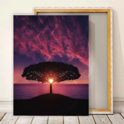 Волшебный фиолетовый закат в Техасе, США и силуэтах деревьев Стоковое  Изображение - изображение насчитывающей немного, облака: 190258929