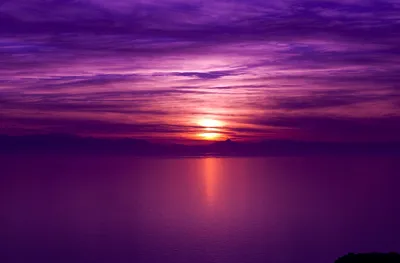Опасность и красота фиолетовых закатов | All About Everything | Дзен