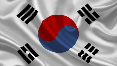 Флаг Южной Кореи из флажного шёлка (135 х 90 см) - купить Флаг по выгодной  цене в интернет-магазине OZON (429649402)