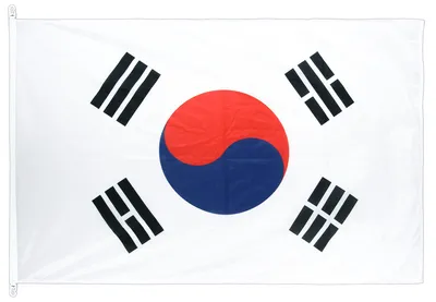 Южная Корея развевается флагом на прозрачном фоне PNG , флаг южной кореи,  макет флага, развевающийся флаг PNG картинки и пнг PSD рисунок для  бесплатной загрузки