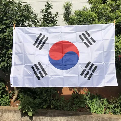 Флаг Южной Кореи Логотип, Флаг, Разное, флаг, текст png | Klipartz