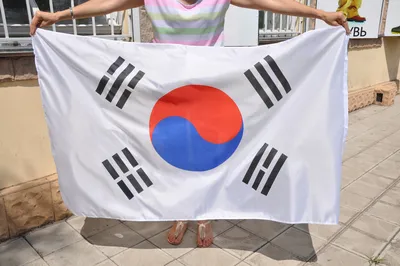 Фотофлаг Южной Кореи 90x150 см, флаги баннера, двусторонние Полиэстеровые  ткани, подвесной корейский флаг для украшения | AliExpress