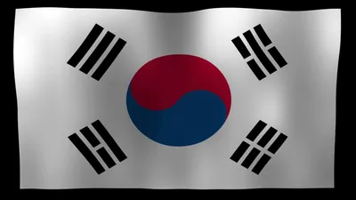 Флаг Южной Кореи 90х150см (ID#734975085), цена: 355 ₴, купить на Prom.ua