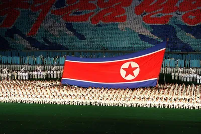 Флаг Кореи купить по низким ценам в интернет-магазине Uzum (269083)