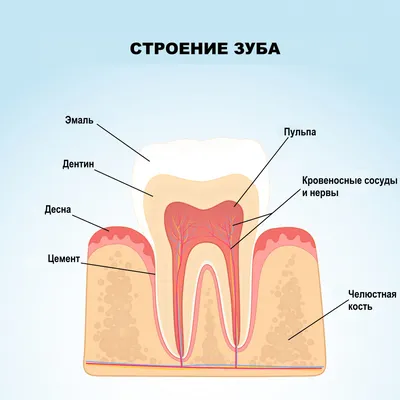 Флюс зуба — чем опасен? | Статьи стоматологии в Николаеве