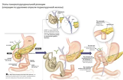 Cтоимость медицинских услуг | Медицинский Центр Диагностики и Лечения в  Жуковском