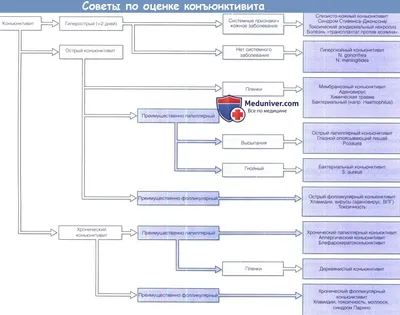 Конъюнктивит у взрослых: причины, симптомы, лечение, профилактика в  домашних условиях