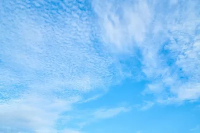 33 209 703 рез. по запросу «Голубое небо» — изображения, стоковые  фотографии, трехмерные объекты и векторная графика | Shutterstock