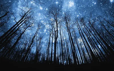 звездное небо белых Blue Stars, ночь, небо, Звезды фон картинки и Фото для  бесплатной загрузки