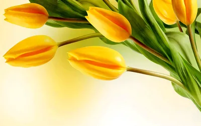 8 Марта Весенние Цветы Синий День Женщин Поздравление Цветочный Фон —  стоковая векторная графика и другие изображения на тему Афиша - iStock