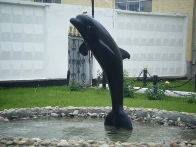 Почему почти все российские уголовники боятся обычного с виду памятника с черным  дельфином? Где он расположен и как выглядит | Горгульи тоже говорят | Дзен