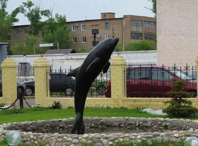 Фонтанчик с чёрным дельфином» — создано в Шедевруме