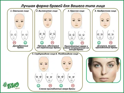 Форма бровей по типу лица: как подобрать идеальную форму бровей