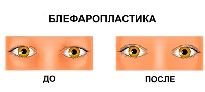 Как узнать характер человека по форме его глаз