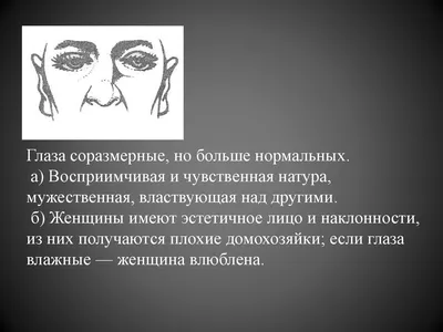 Определитель кошек. Физические характеристики и особенности породы (Спектор  Анна Артуровна, Смирнов Дмитрий Сергеевич). ISBN: 978-5-17-156759-0 ➠  купите эту книгу с доставкой в интернет-магазине «Буквоед» - 13631123