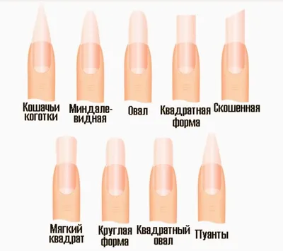Как считаете, какой форме ногтей красный подходит идеальнее?🤤 Овал/Миндаль/ Скво/Квадрат Топ-мастер Алия Батырова | Instagram