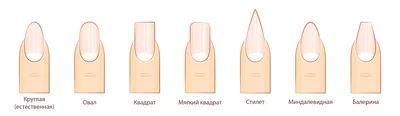 Форма ногтей: какой дизайн лучше выбрать? (80 фото) | Круглые ногти, Ногти,  Дизайнерские ногти
