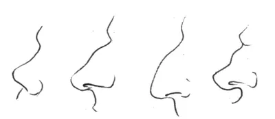 Коррекция формы носа ⇨ Врач Бишкека