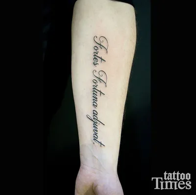 Тату надпись fortes fortuna adjuvat - фото салона Tattoo Times, узнай цену  на сайте.