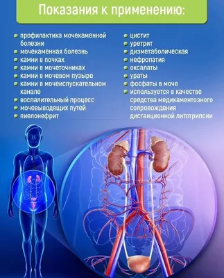 Фосфаты в моче у ребенка — 16 ответов | форум Babyblog