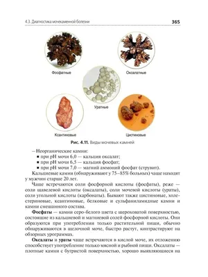 Экспресс-определение ионов фосфата и кальция в моче – тема научной статьи  по ветеринарным наукам читайте бесплатно текст научно-исследовательской  работы в электронной библиотеке КиберЛенинка