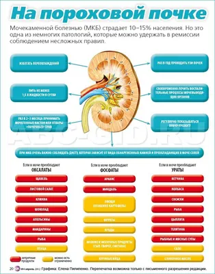 Общий анализ мочи (с микроскопией осадка)