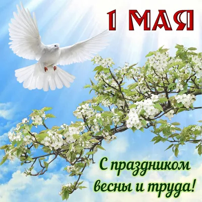 Поздравление от руководства города с 1 Мая – праздником Весны и Труда! —  Реальный Брест