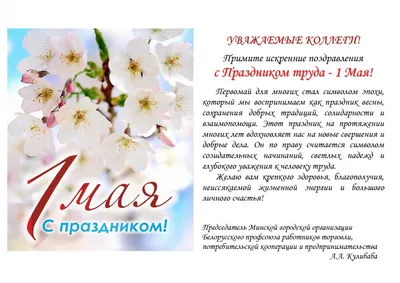 Челябинец собрал коллекцию открыток, посвященных 1 мая