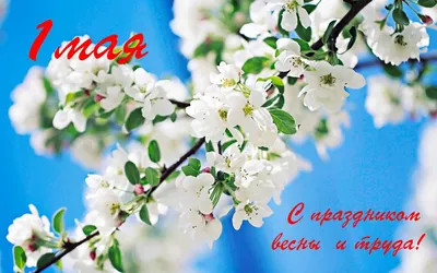 1 мая — Праздник весны и труда — МАДОУ д/с №121 города Тюмени