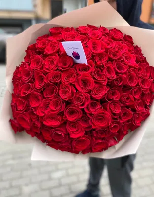 101 роза Премиум | купить недорого | доставка по Москве и области