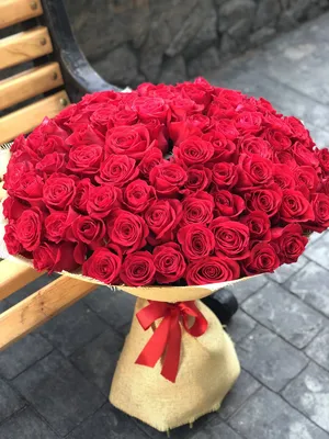 101 красная роза (Премиум) - Доставкой цветов в Москве! 1625 товаров! Цены  от 487 руб. Цветы Тут
