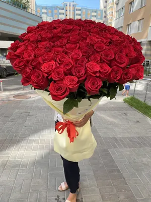 Букет 101 роза Эквадор купить по цене 17700.00 руб. с доставкой по Туле –  интернет-магазин «Расцветочка»