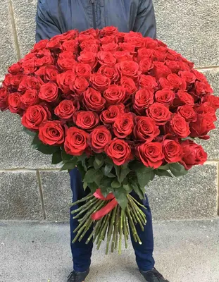 Букет 101 роза эквадорская красная 60 см - купить в Омске в цветочной  мастерской Лаванда