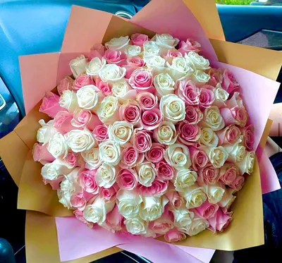 Купить 101 розу белую и красную в букете с доставкой по городу Днепр |  Интернет-магазин Royal-flowers