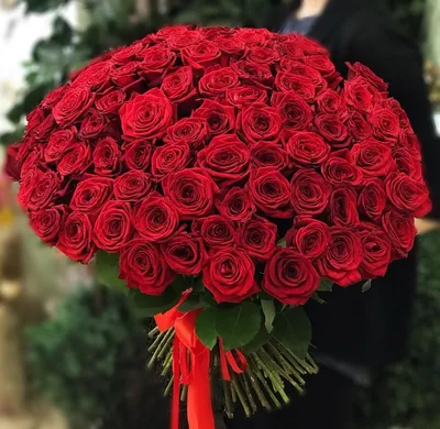 Букет сердце 101 роза с радужными (Юж. Америка) купить с доставкой в СПб