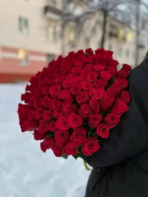 Букет 101 роза ~ Mishki123.ru