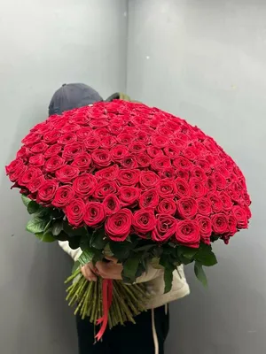 1️⃣ 101 роза 100 см – купить в Алматы | Голландские, местные
