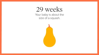 29 weeks pregnant: Symptoms, tips, and baby development