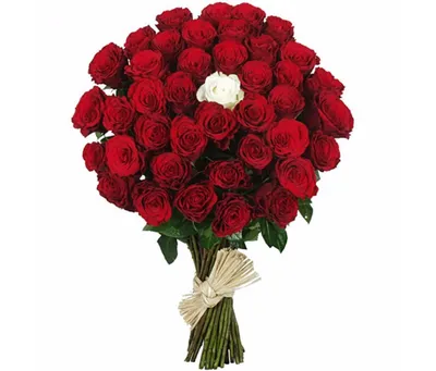 31 красная роза - Городские цветы