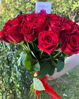 Букет \"31 красная Эквадорская роза 70см\" - заказать с доставкой недорого в  Москве по цене 13 670 руб.